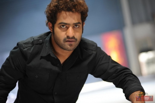 NTR was supposed to be Loafer